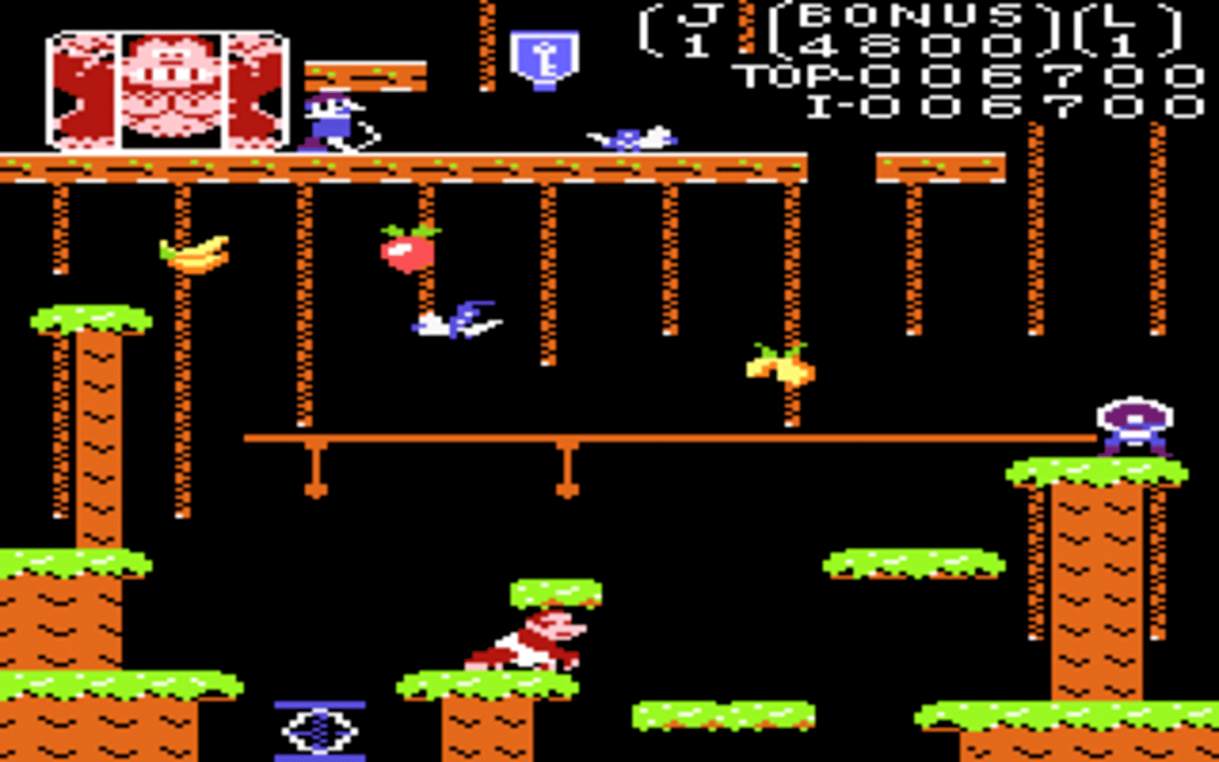 Donkey Kong Junior screenshot