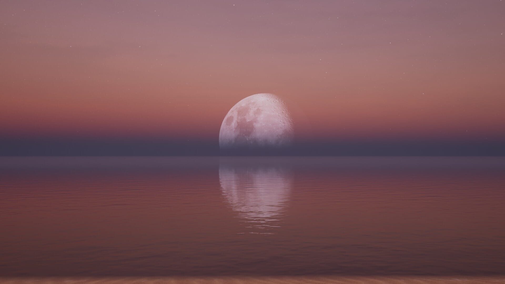 FleurBirdShoot - Screenshot