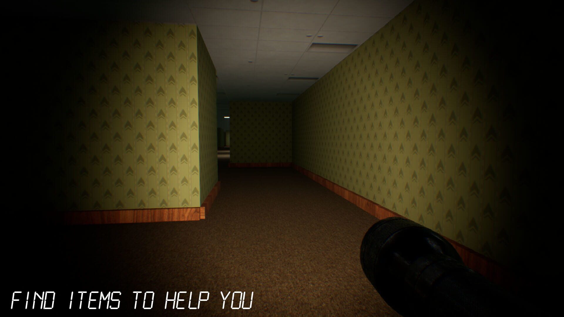 Survive the Backrooms! - Screenshot