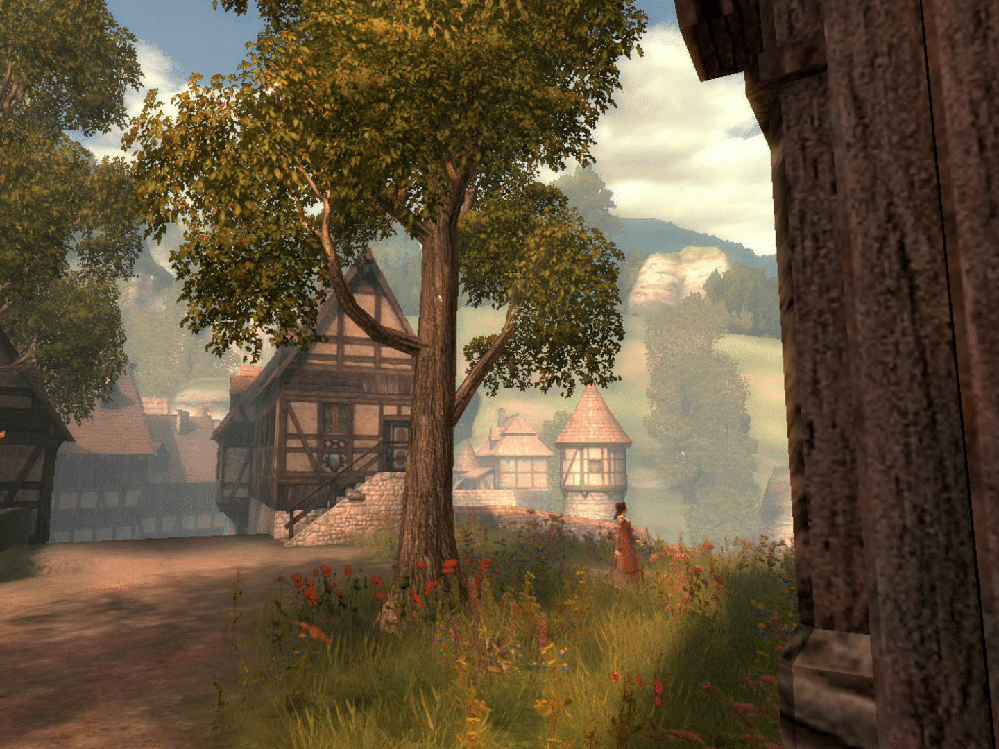 Drakensang: The Dark Eye screenshot