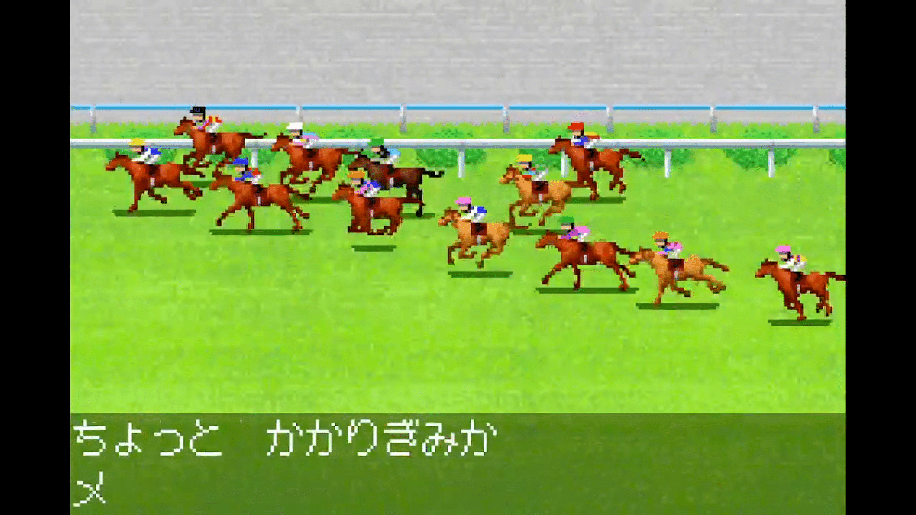 Derby Stallion Advance screenshot