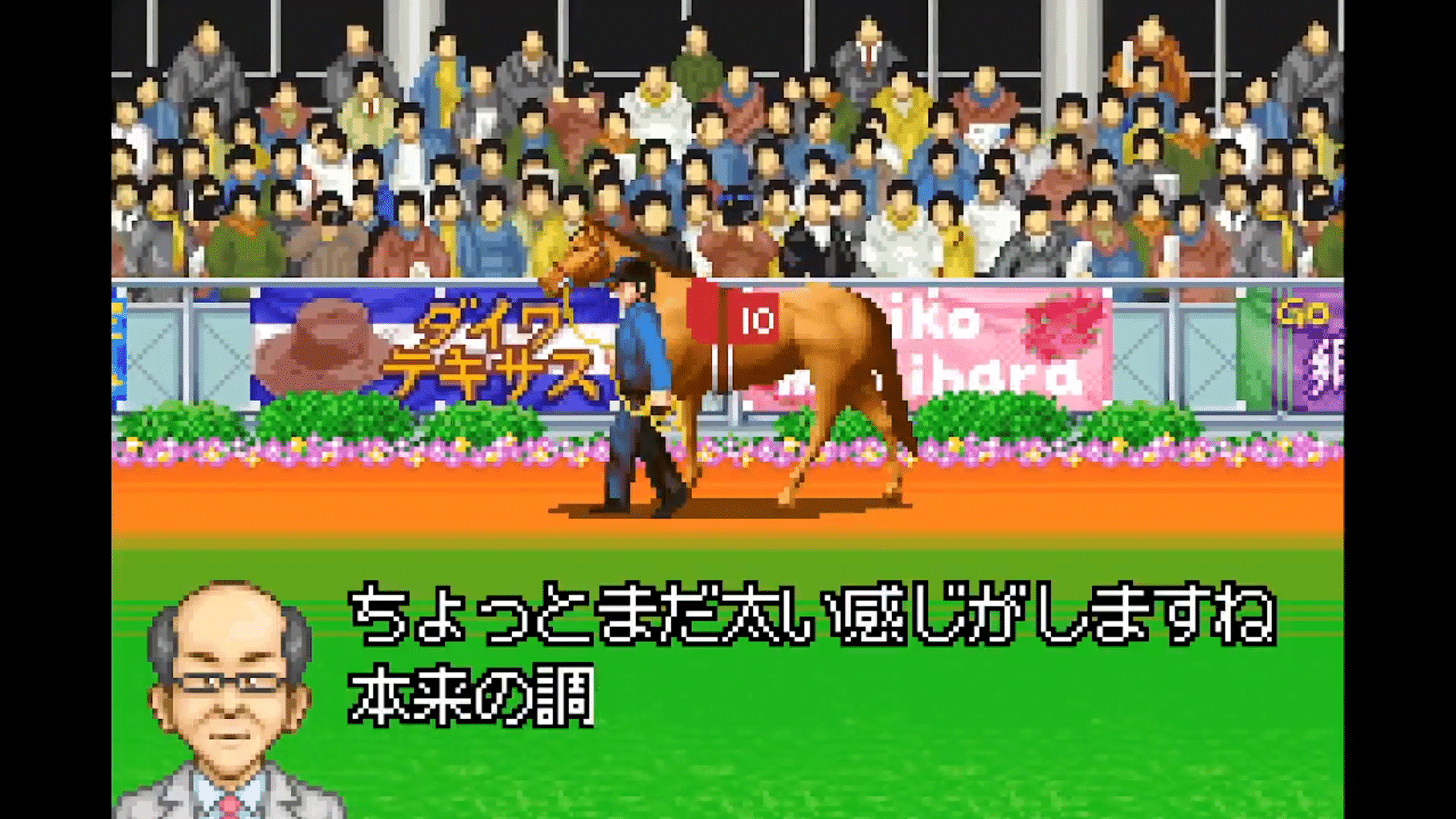 Derby Stallion Advance screenshot