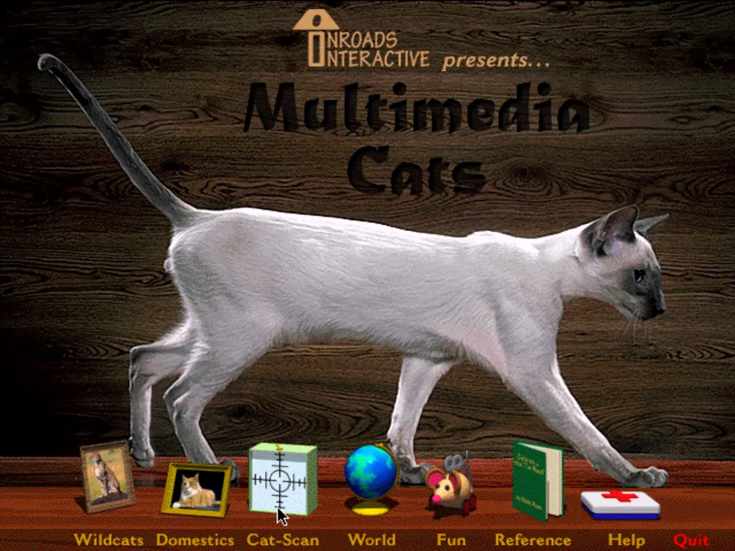 Multimedia Cats