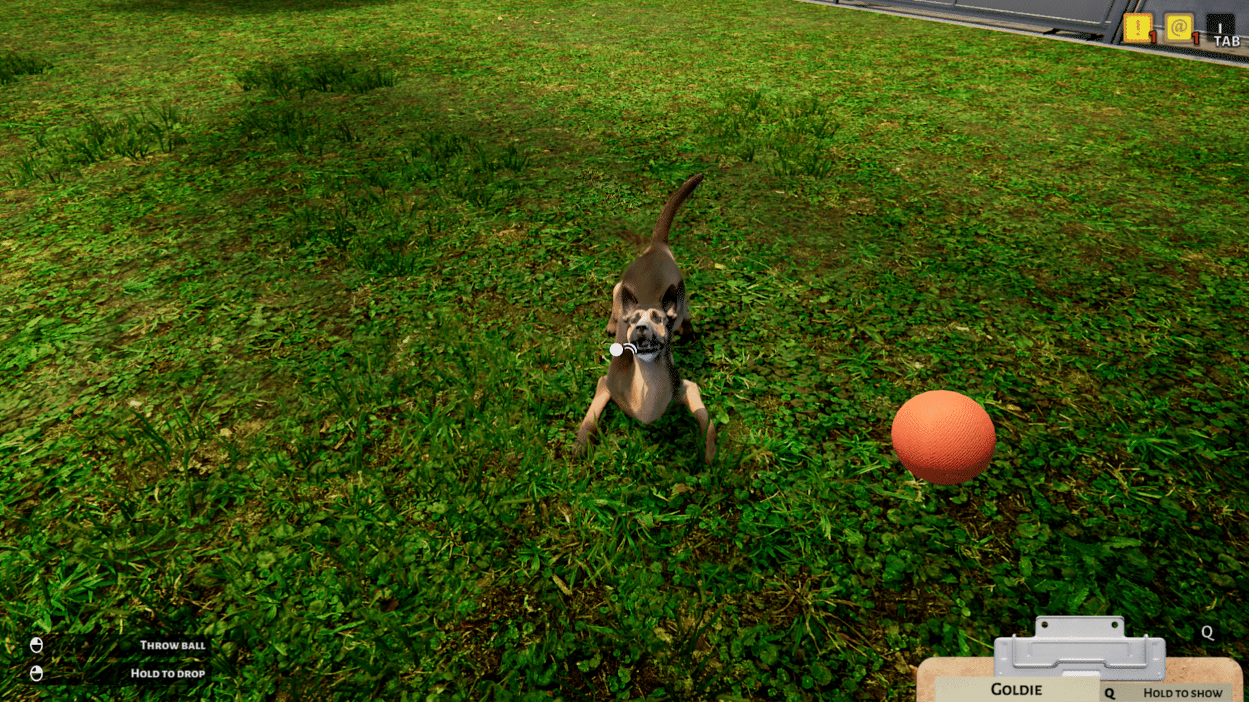 Animal Shelter Simulator screenshot