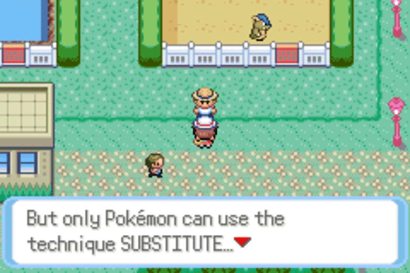 Pokémon DarkViolet Version screenshot