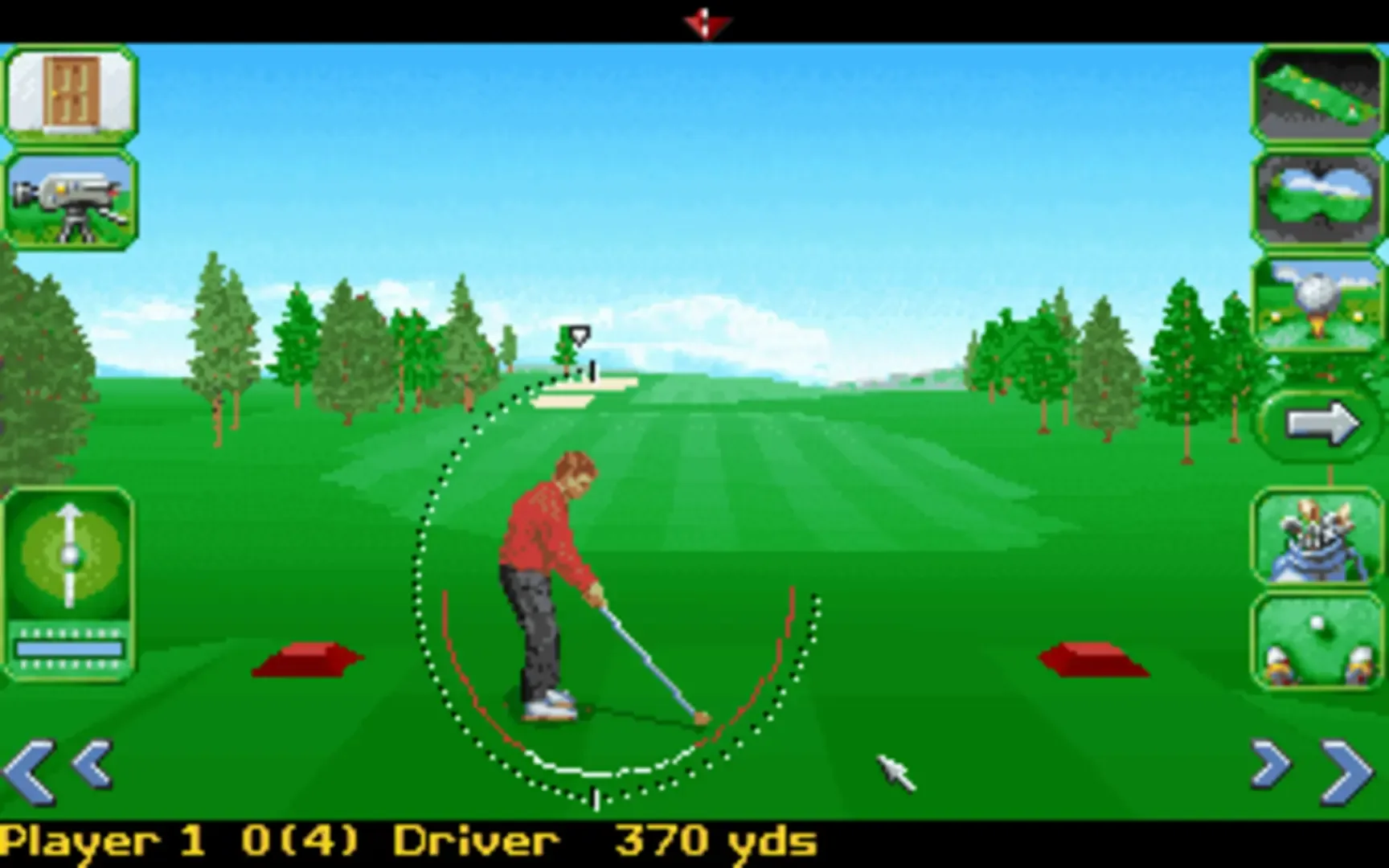 David Leadbetter's Greens