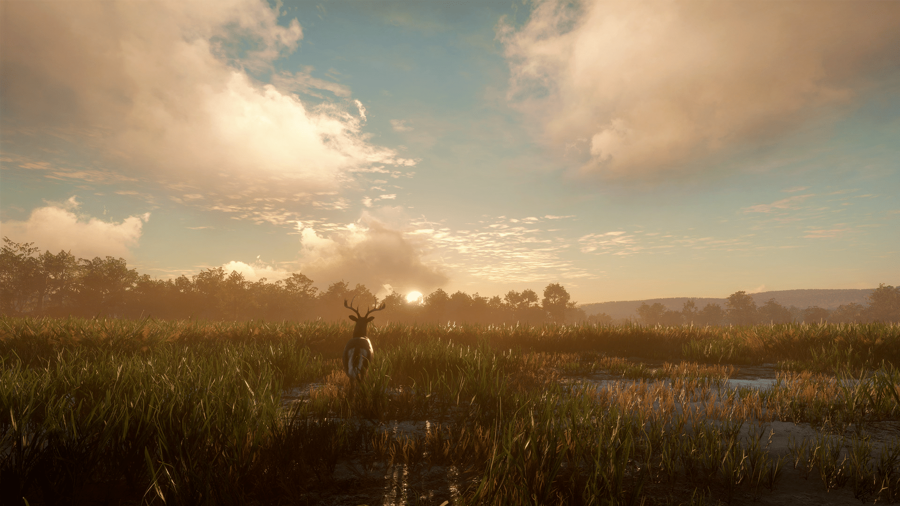 TheHunter: Call of the Wild - Mississippi Acres Preserve screenshot