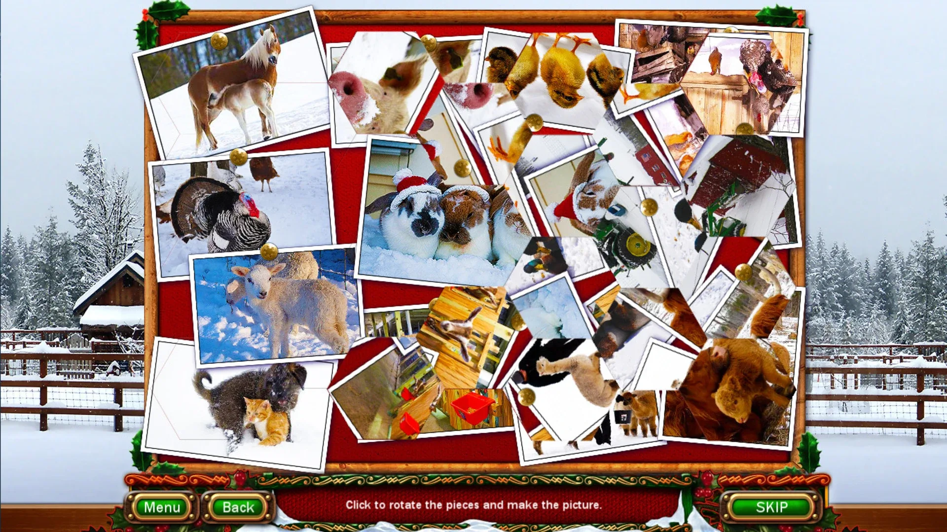 Thumbnail 5
