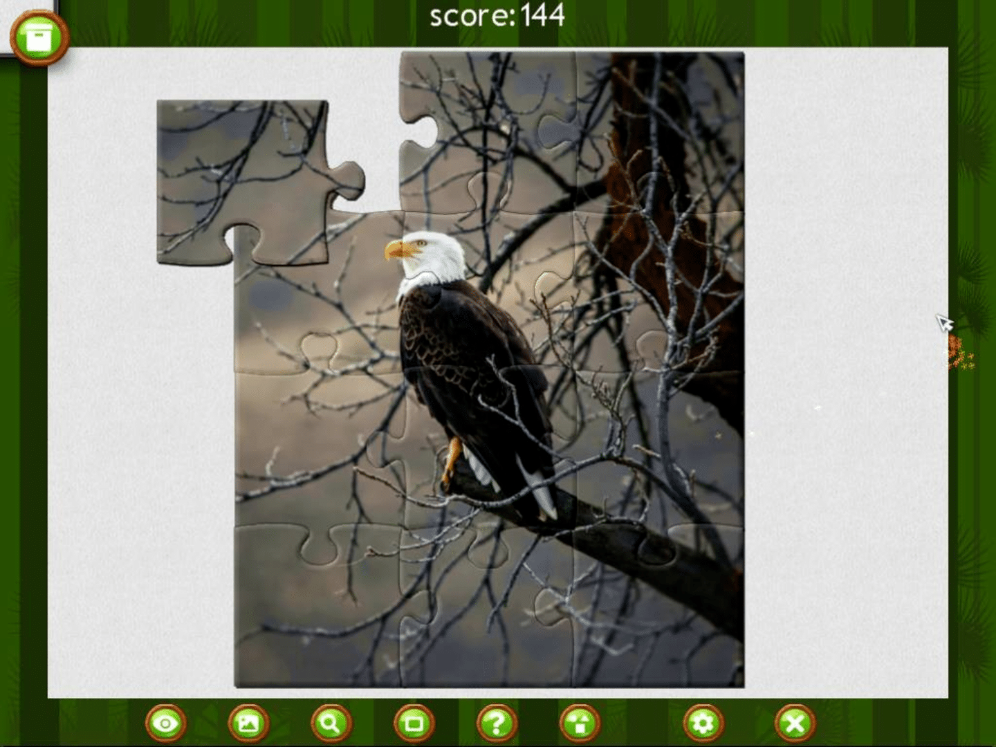 1001 Jigsaw: Wild Animals screenshot