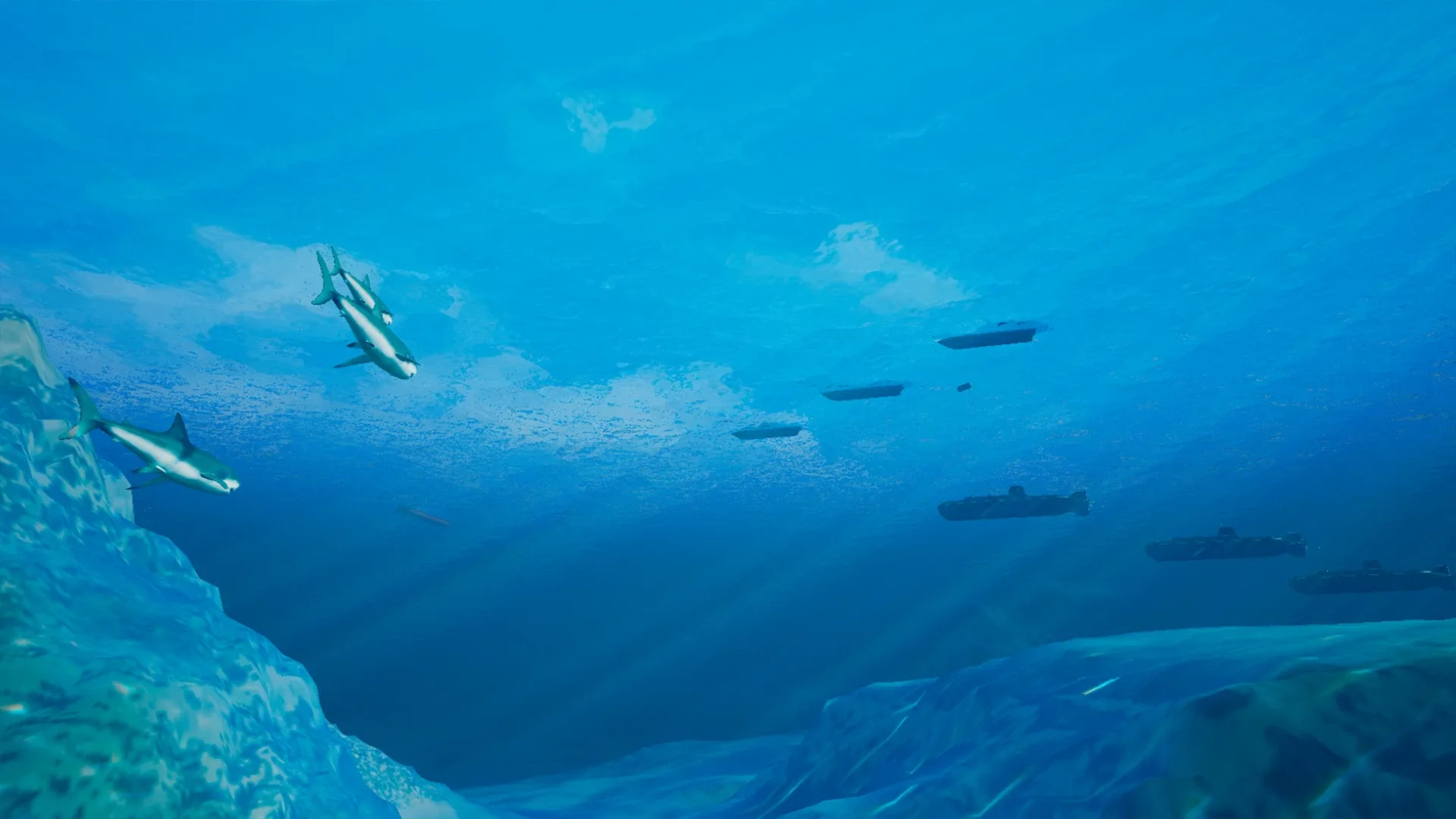 Thumbnail 11