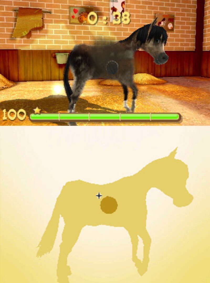 Captura de pantalla - My Foal 3D