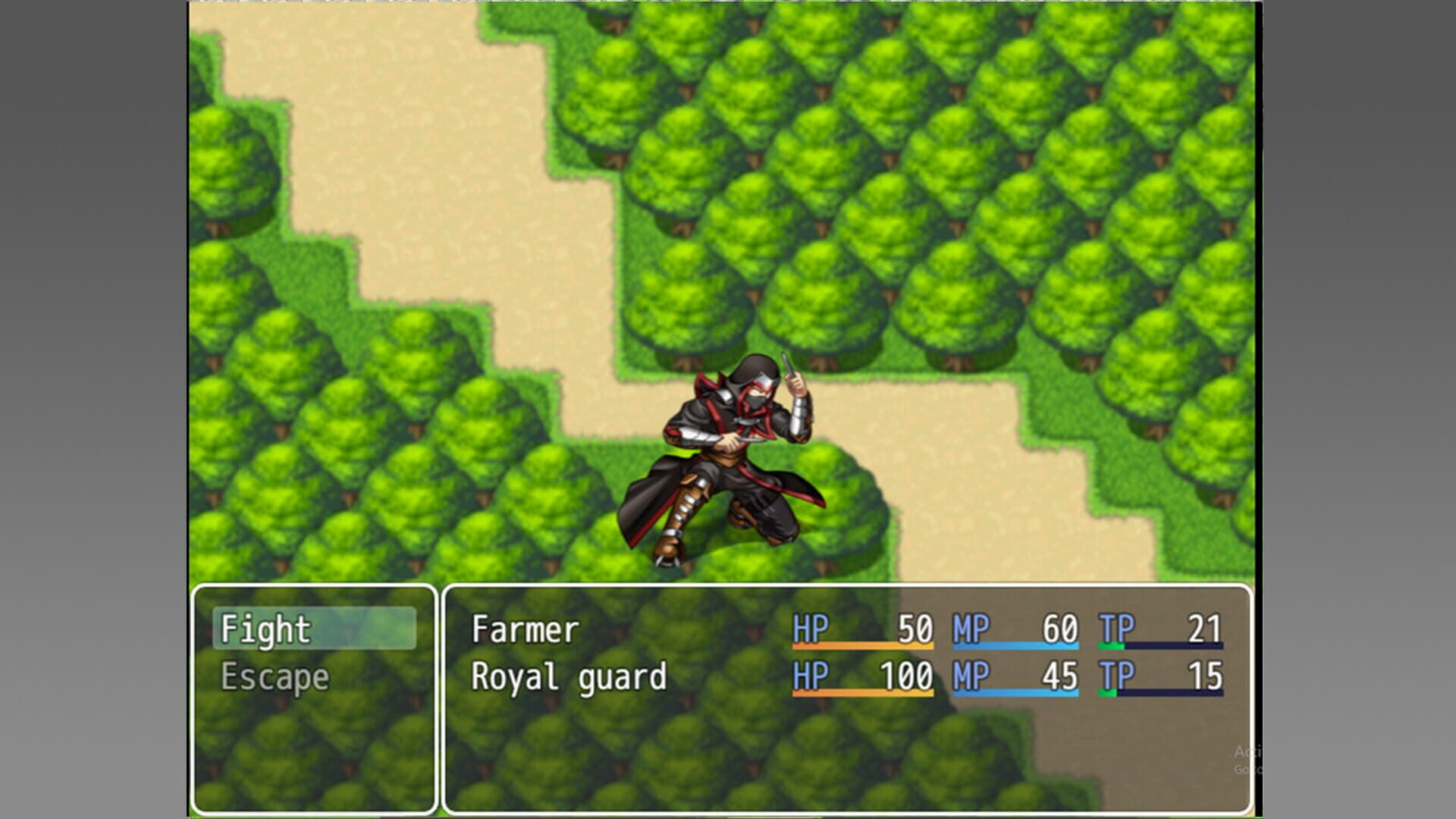 Time's Crest - Screenshot