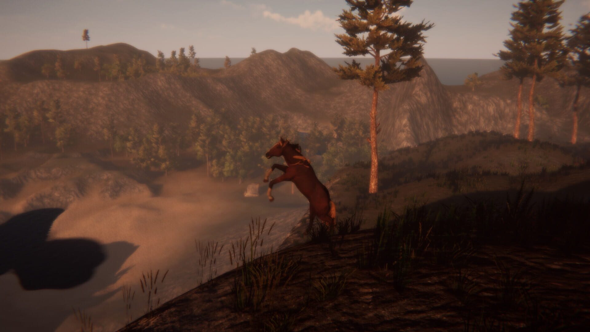Horse and Go Seek - Screenshot