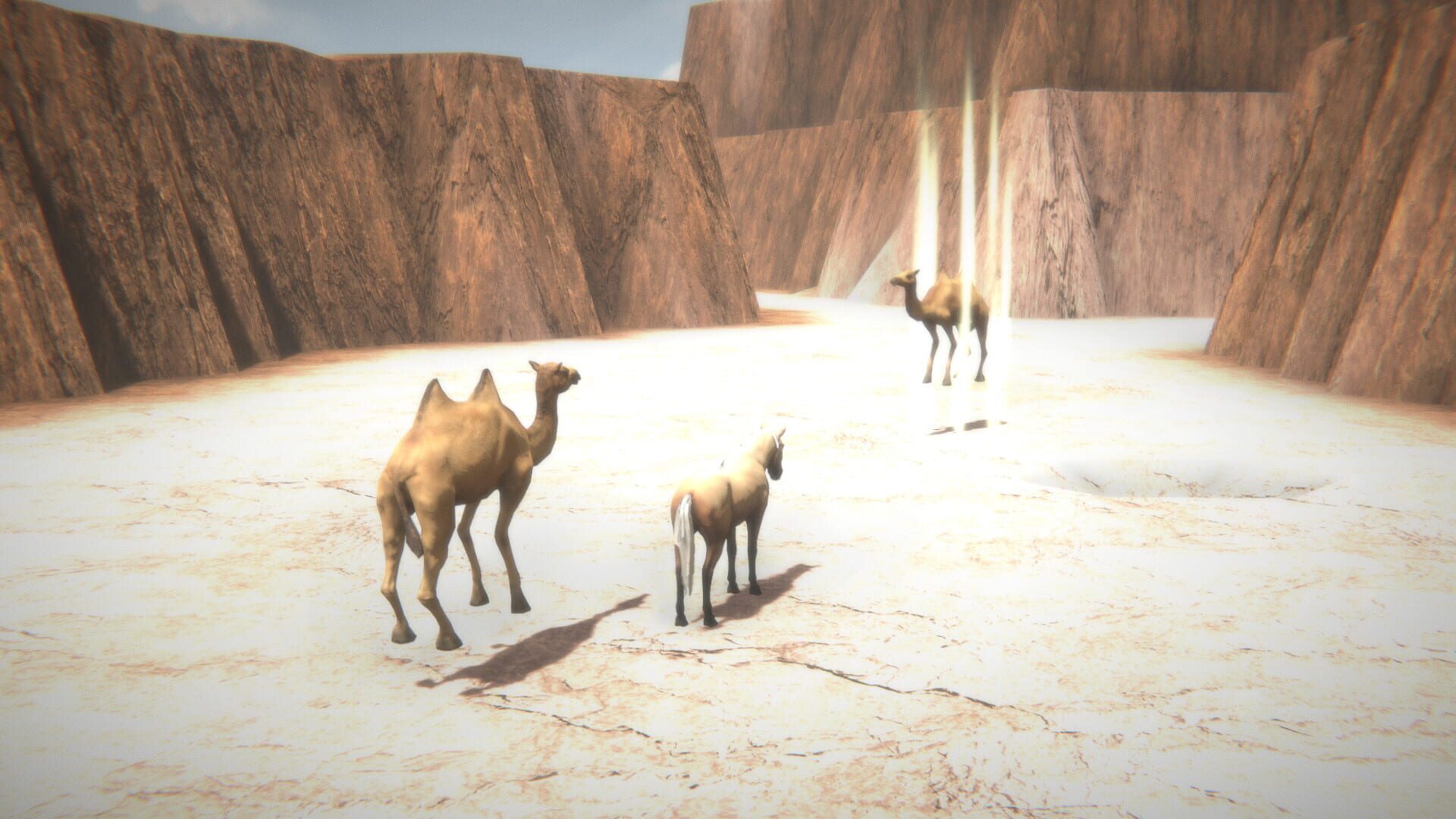 Horse and Go Seek - Screenshot