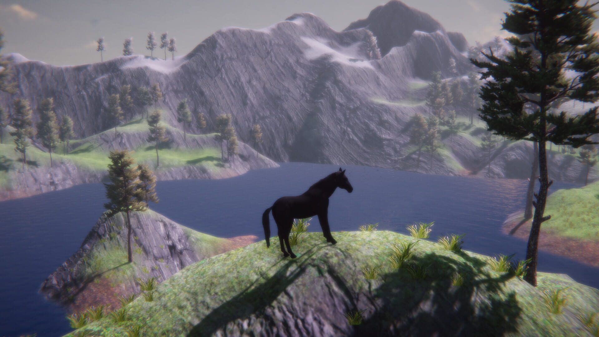 Horse and Go Seek - Screenshot