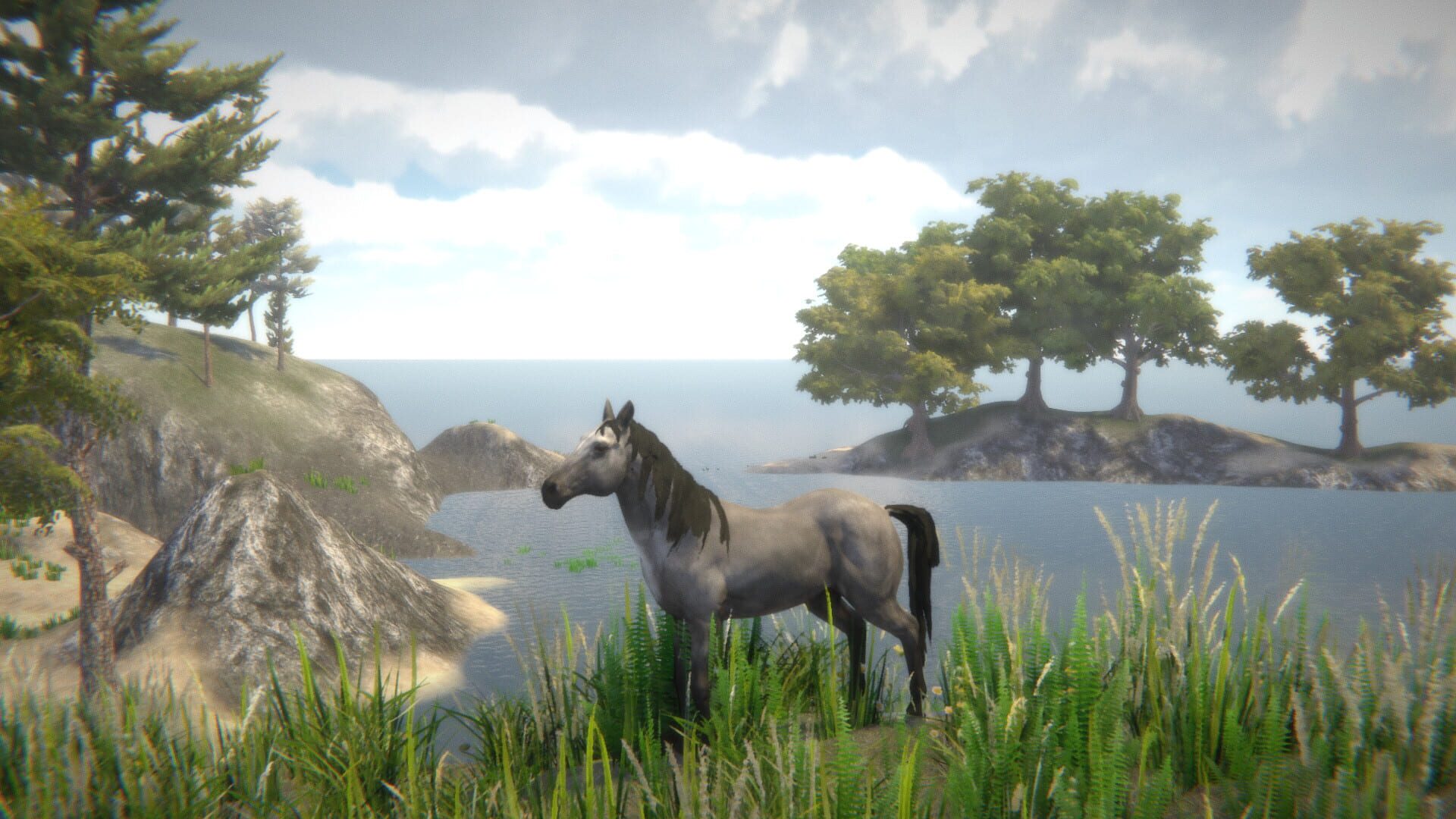 Horse and Go Seek - Screenshot