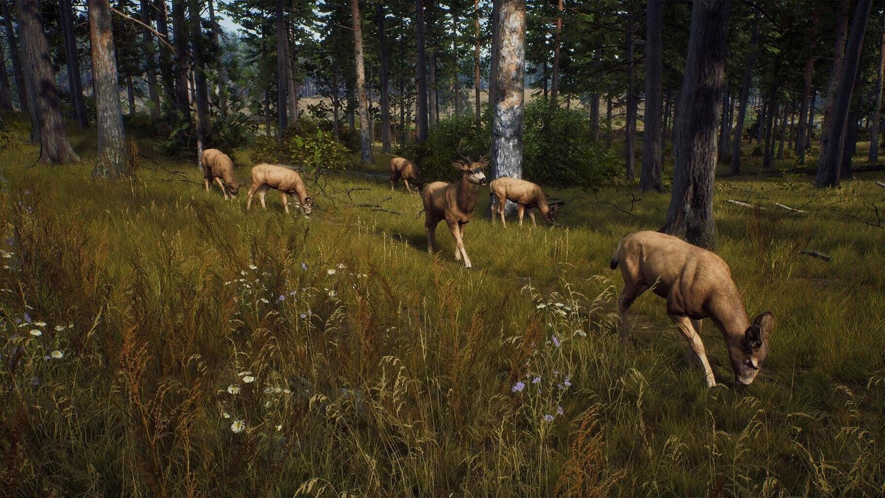 Way of the Hunter screenshots