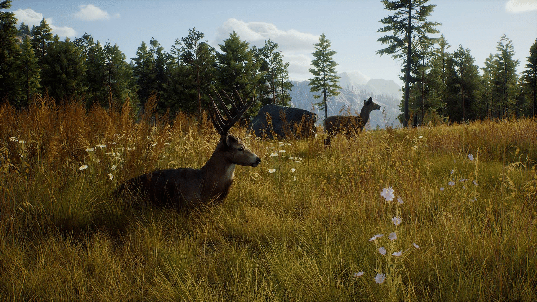 Way of the Hunter screenshot