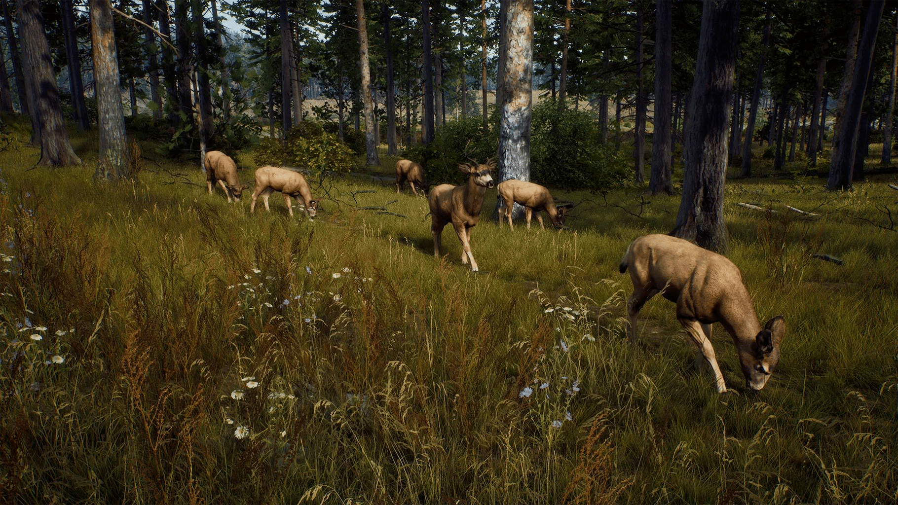 Way of the Hunter screenshot