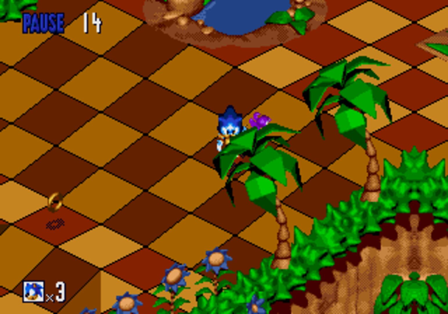 Captura de pantalla - Sonic 3D: No Flickies