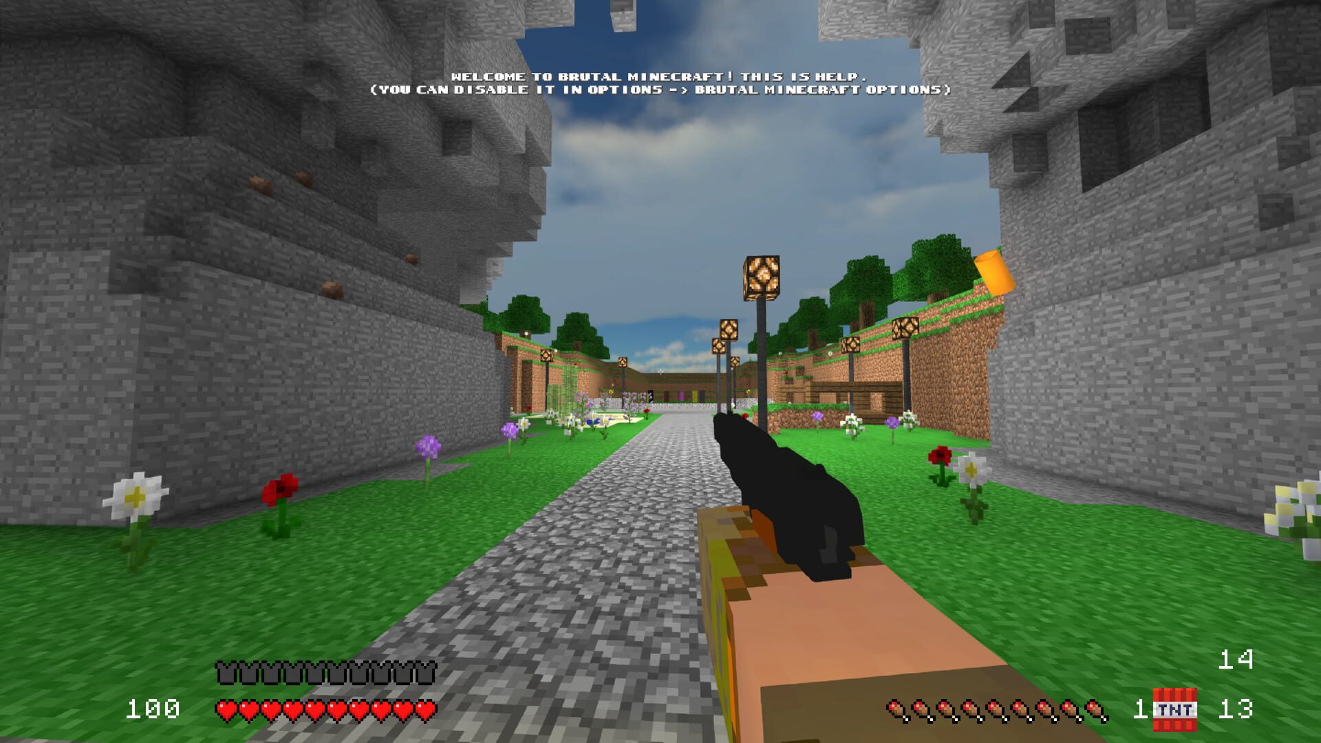 Brutal Minecraft Eternal - Screenshot