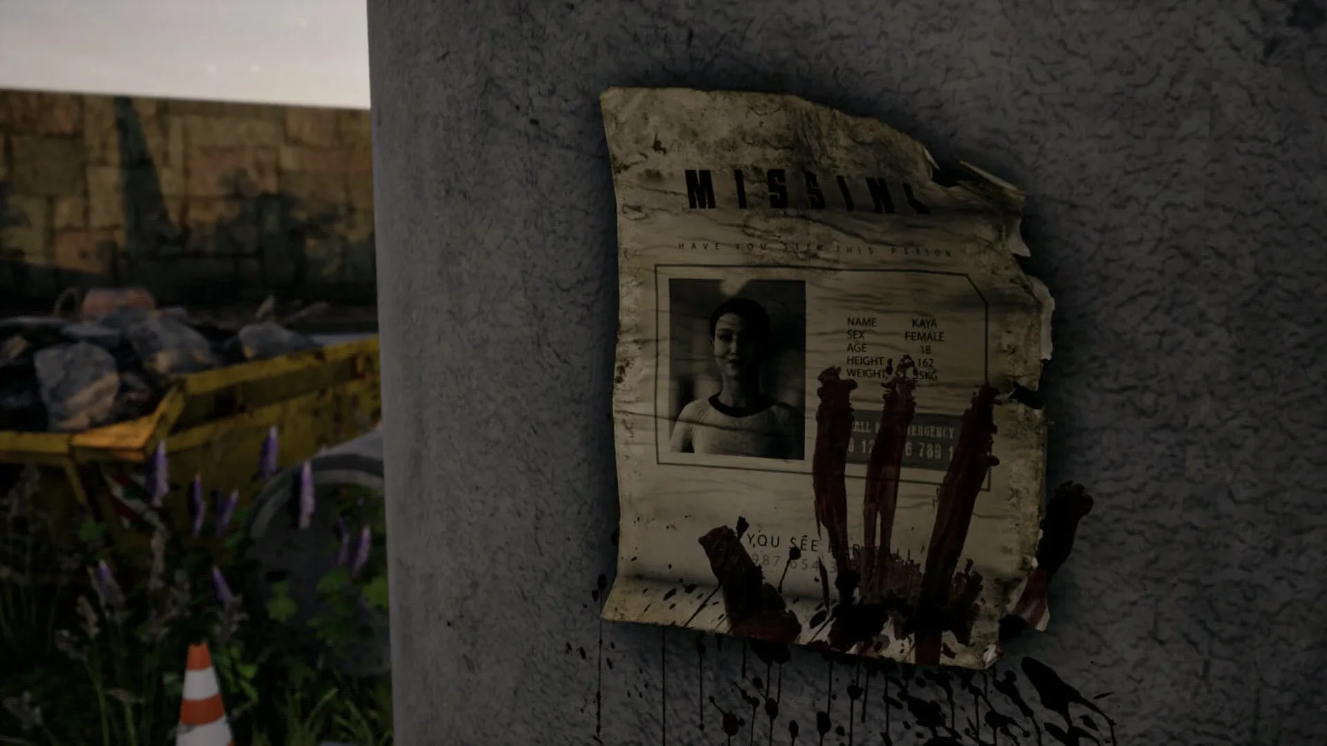 Thumbnail 11
