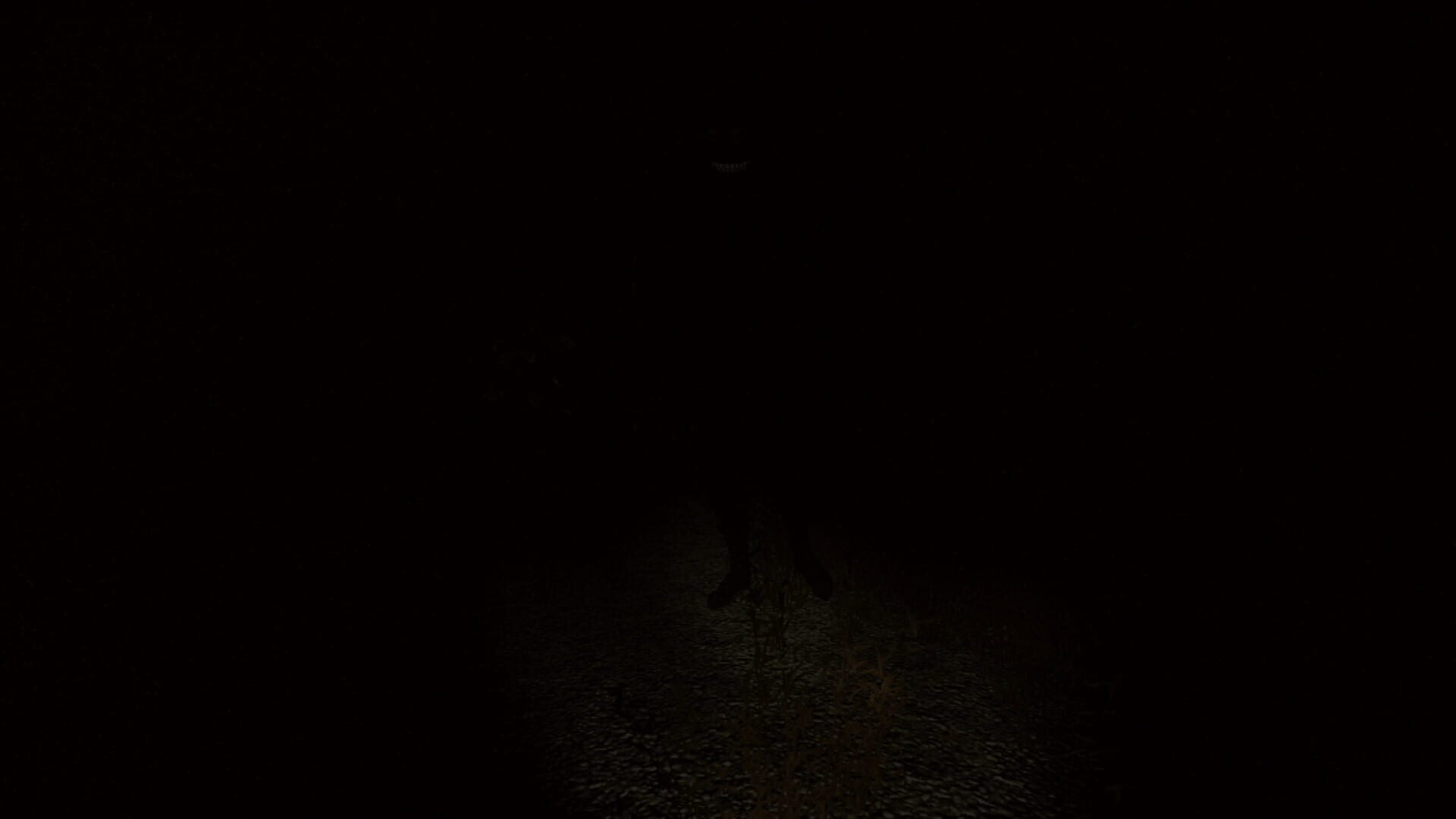 Sciophobia: The Fear of Shadows - Screenshot