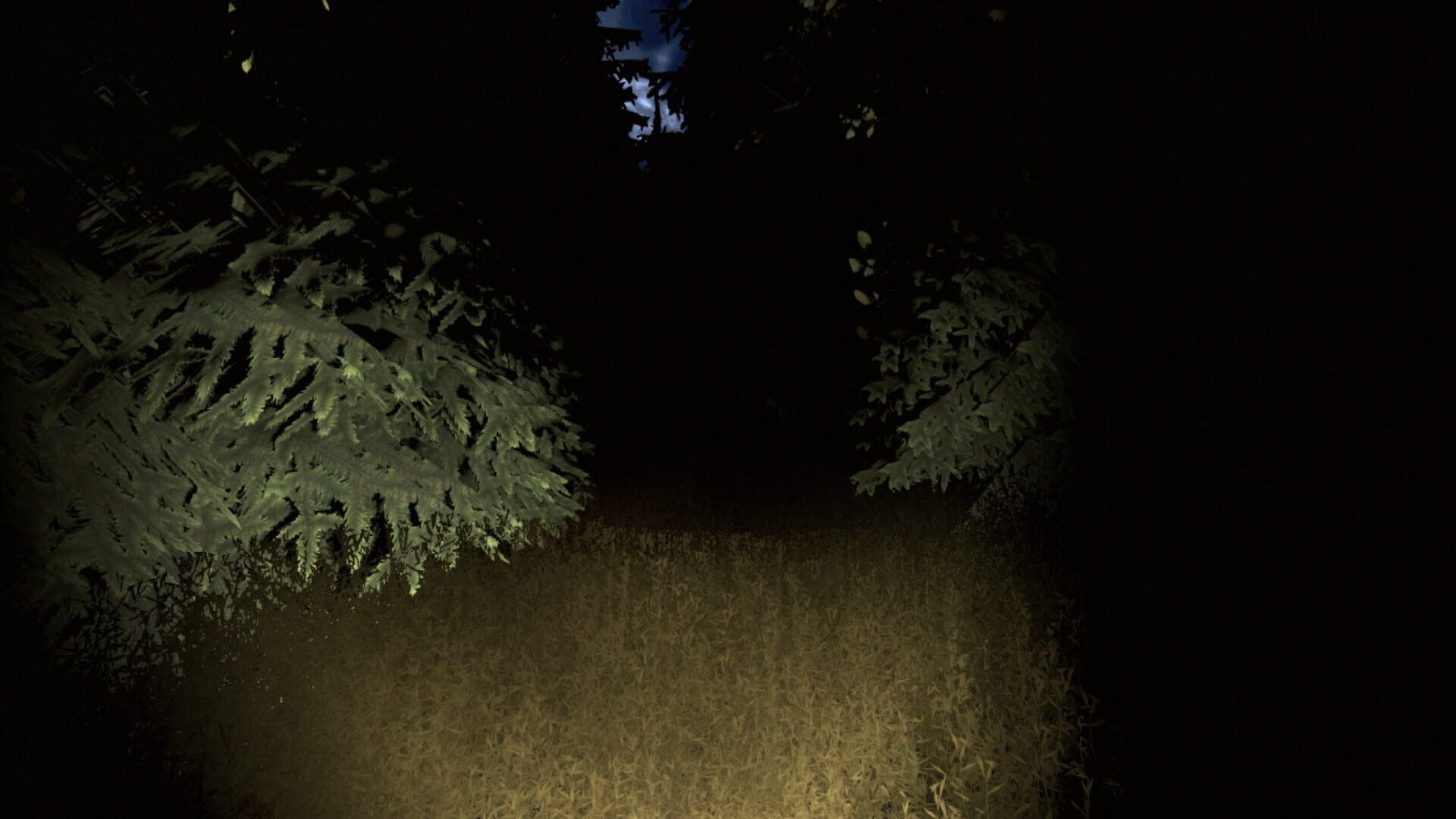 Sciophobia: The Fear of Shadows - Screenshot