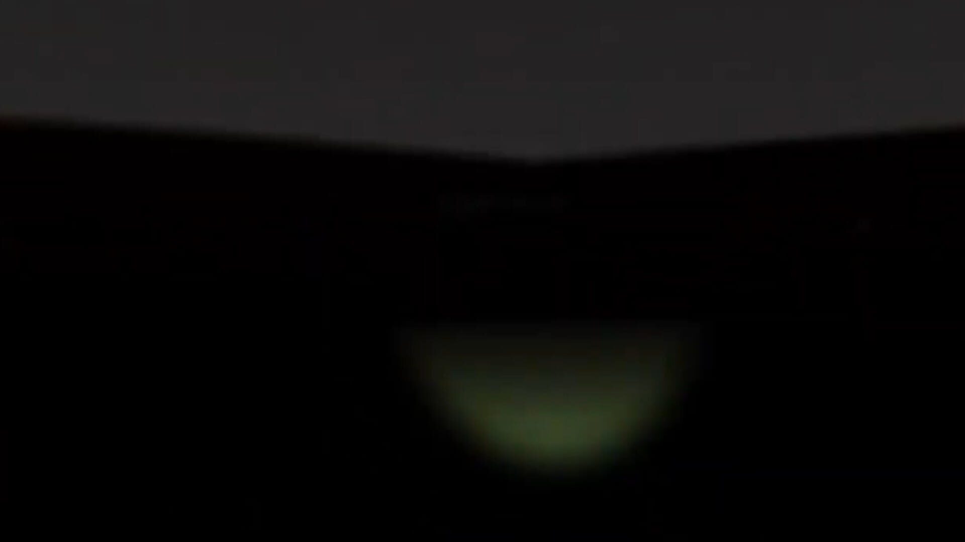 The Creature Zone VR - Screenshot
