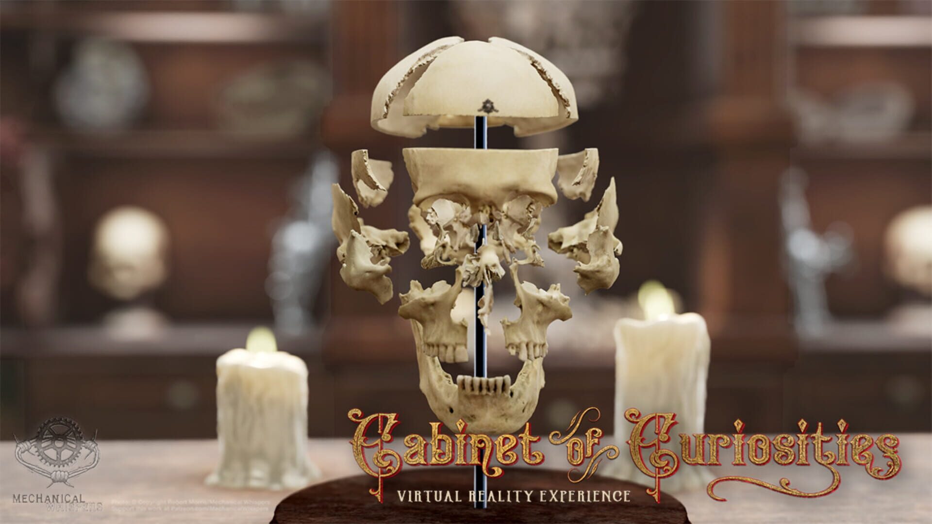 Cabinet of Curiosities VR - Screenshot