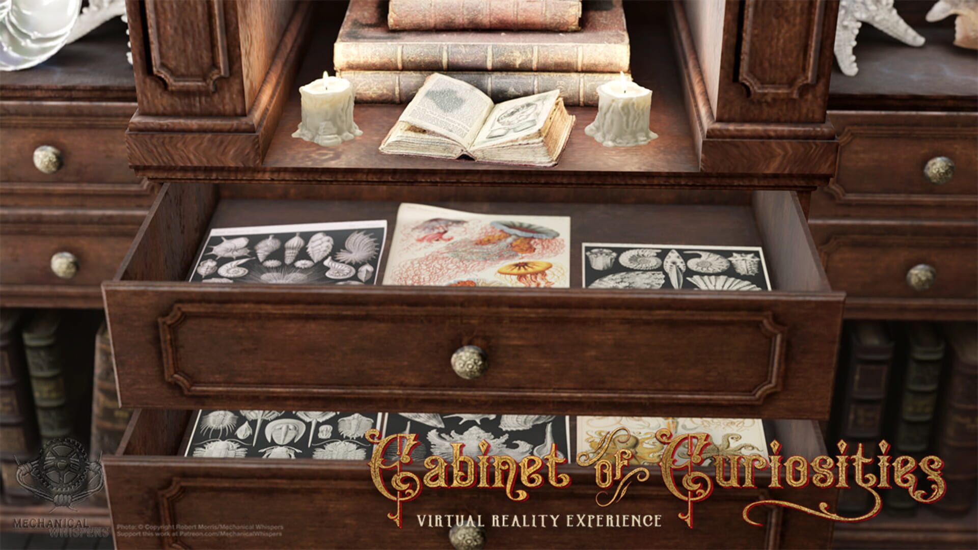 Cabinet of Curiosities VR - Screenshot