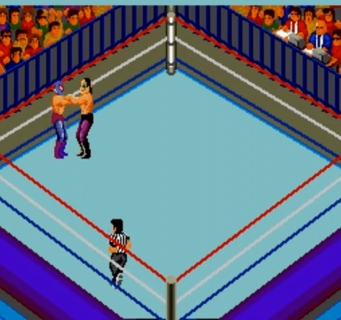 Fire Pro Wrestling: Combination Tag screenshot