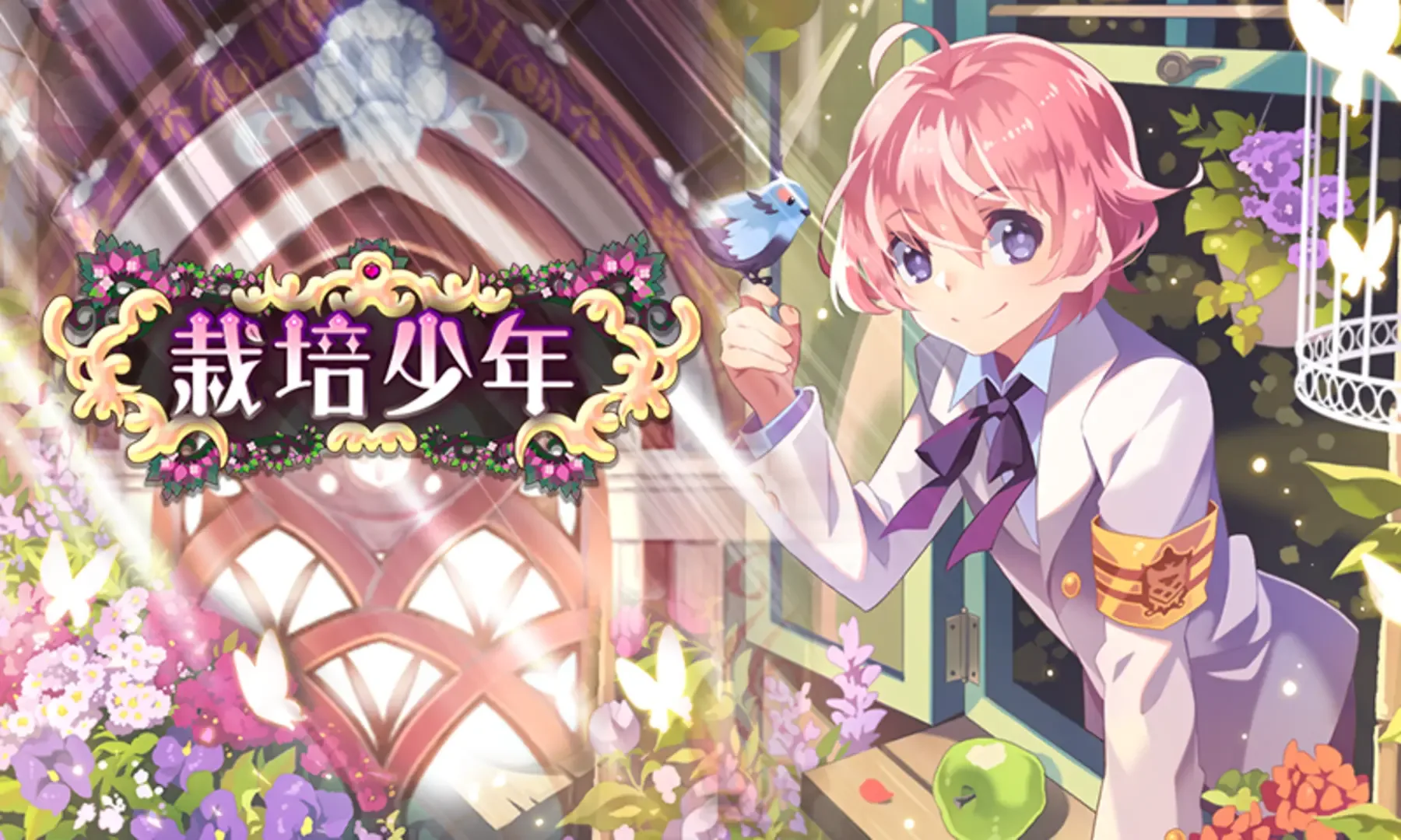 Thumbnail 13
