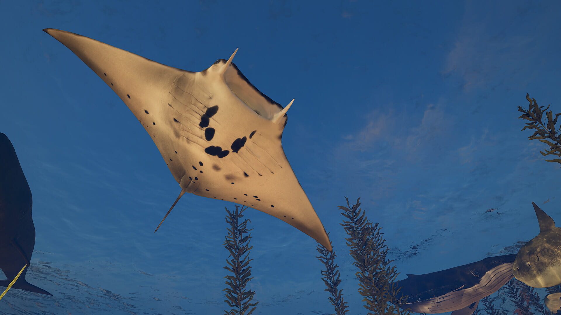 Eden Island - Screenshot