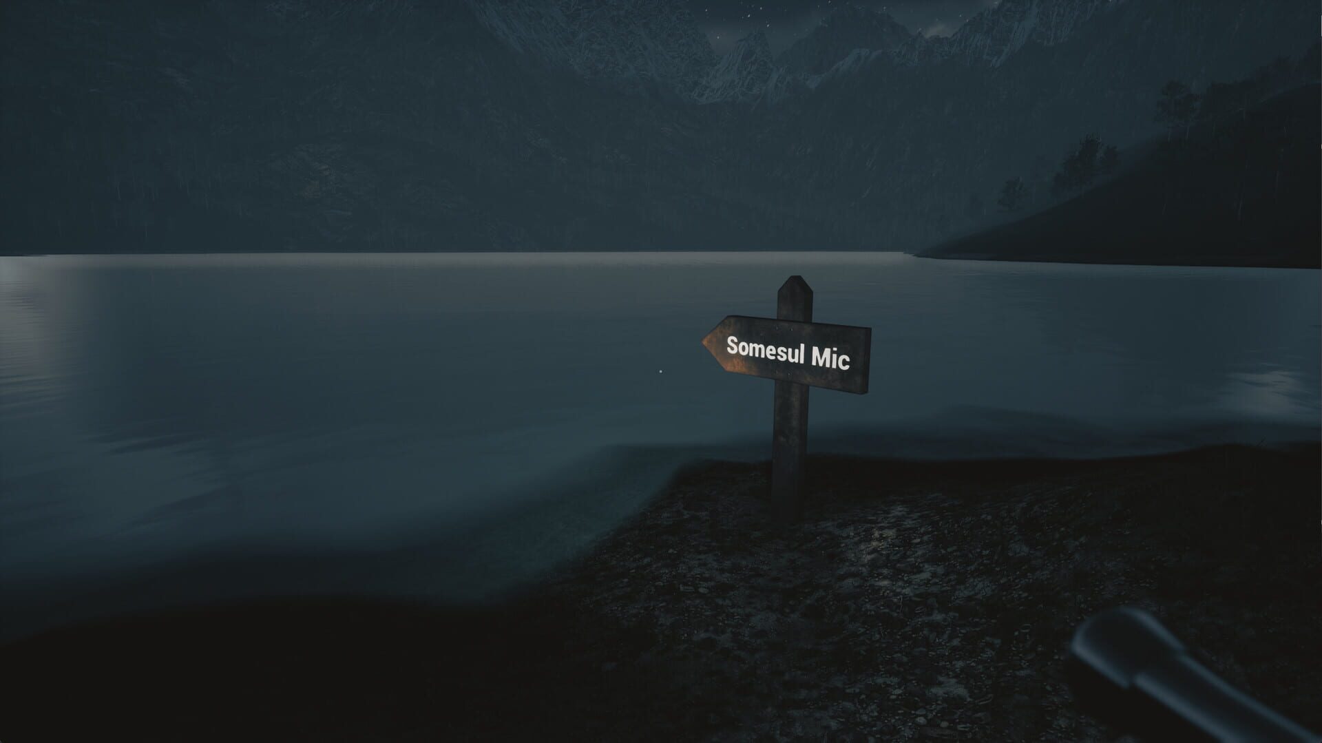 Tales From Hoia Baciu Forest - Screenshot
