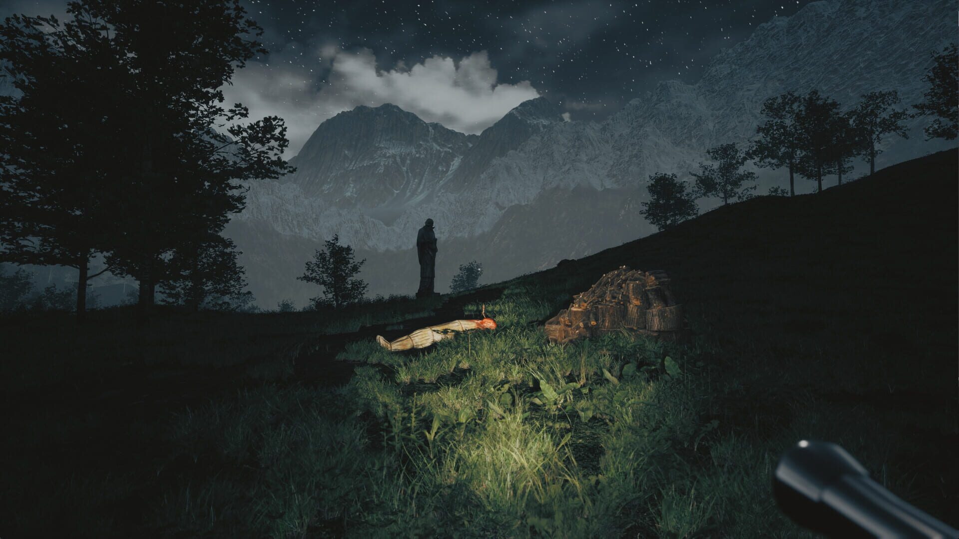 Tales From Hoia Baciu Forest - Screenshot