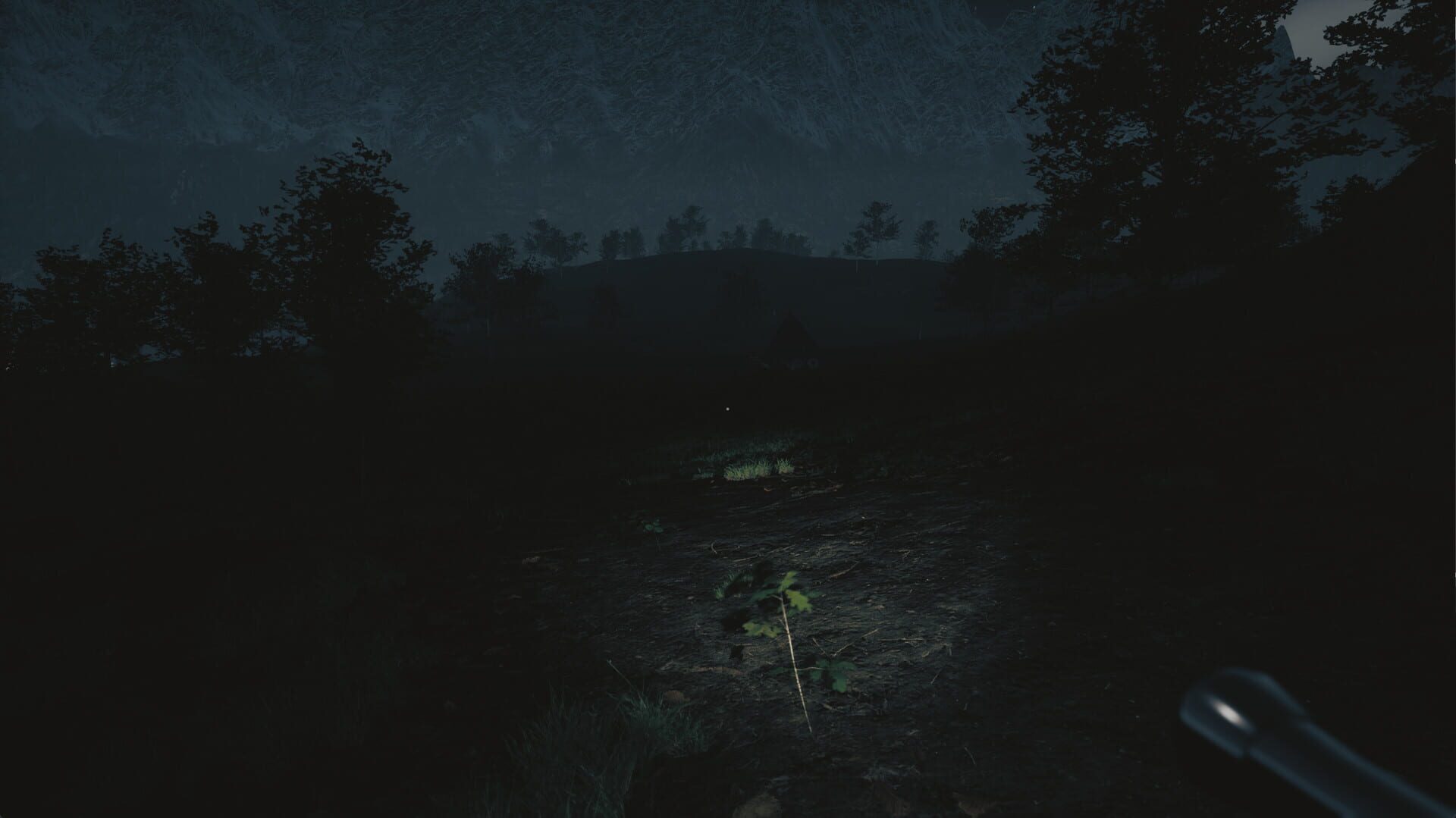 Tales From Hoia Baciu Forest - Screenshot