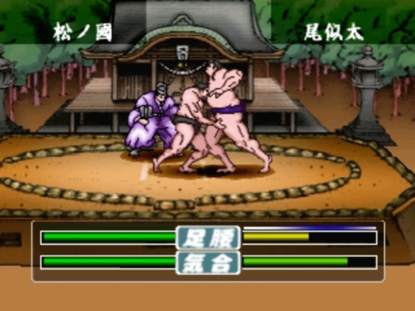 Simple 1500 Series Vol. 58: The Sumo screenshot