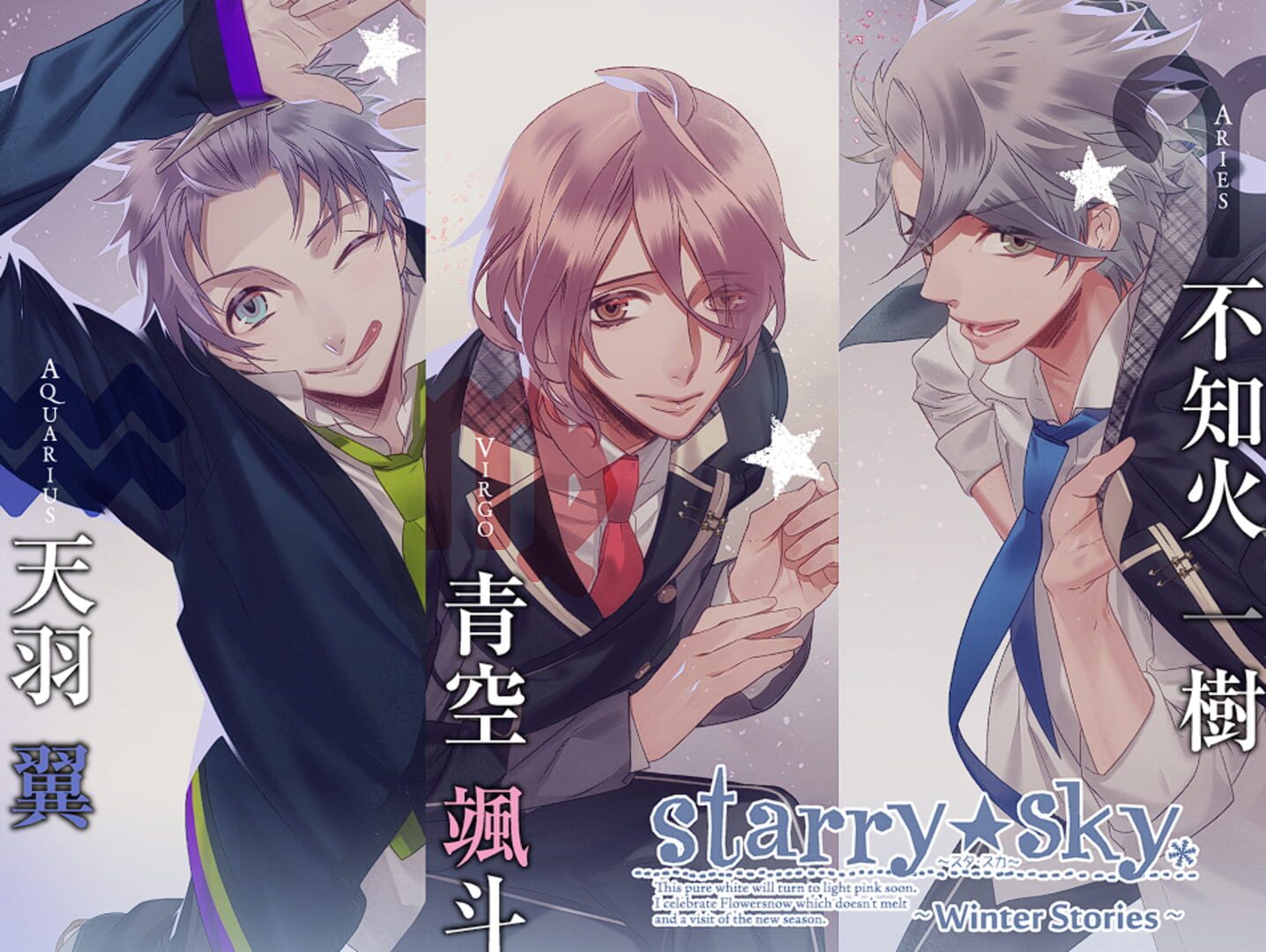 Captura de pantalla - Starry Sky: Winter Stories