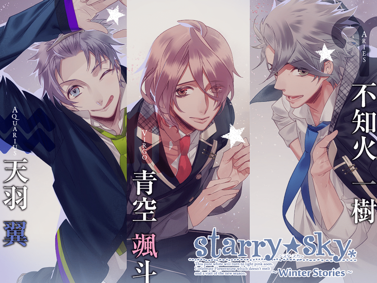 Starry Sky: Winter Stories screenshot