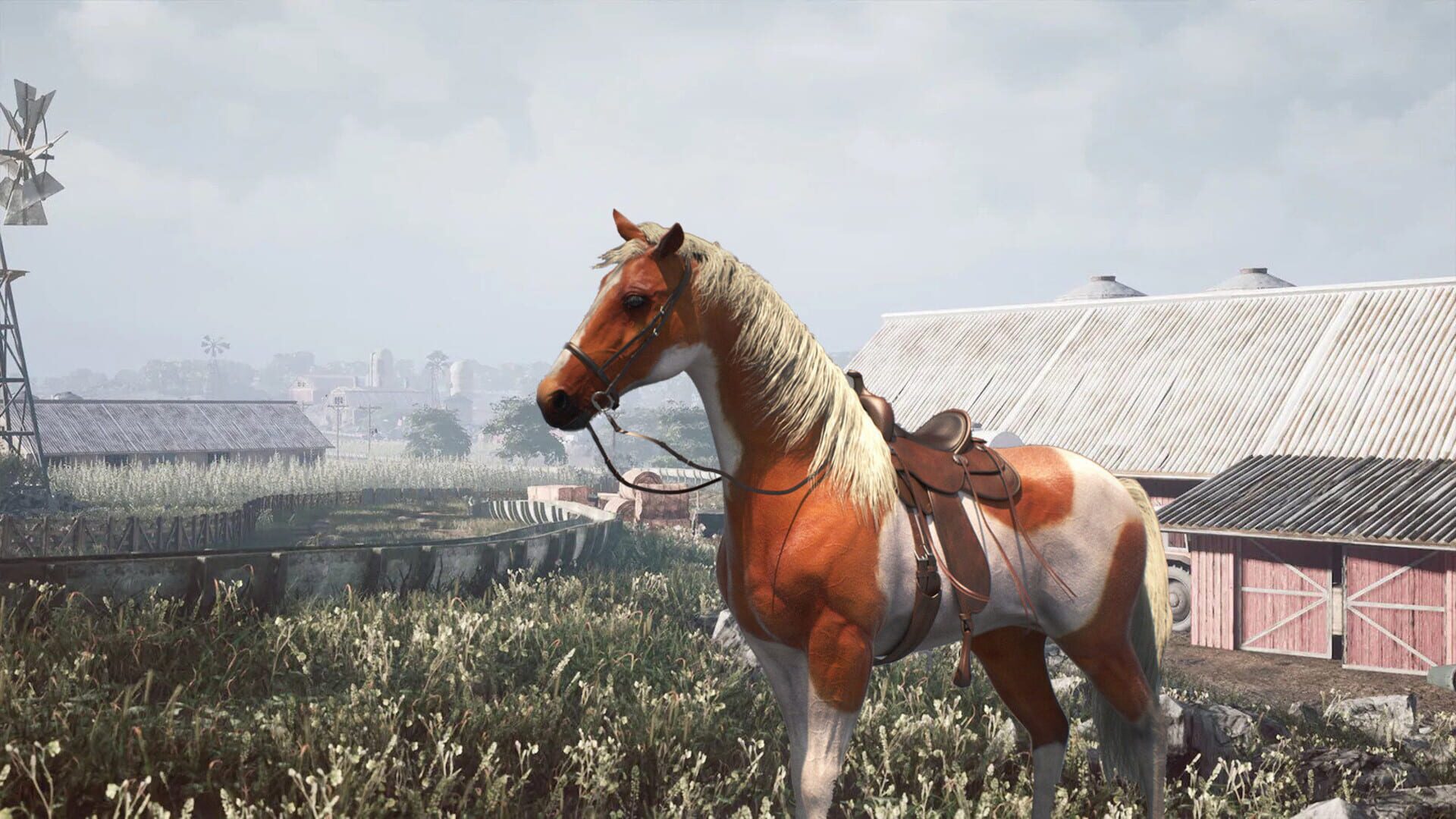 Horse Shelter 2022 - Screenshot