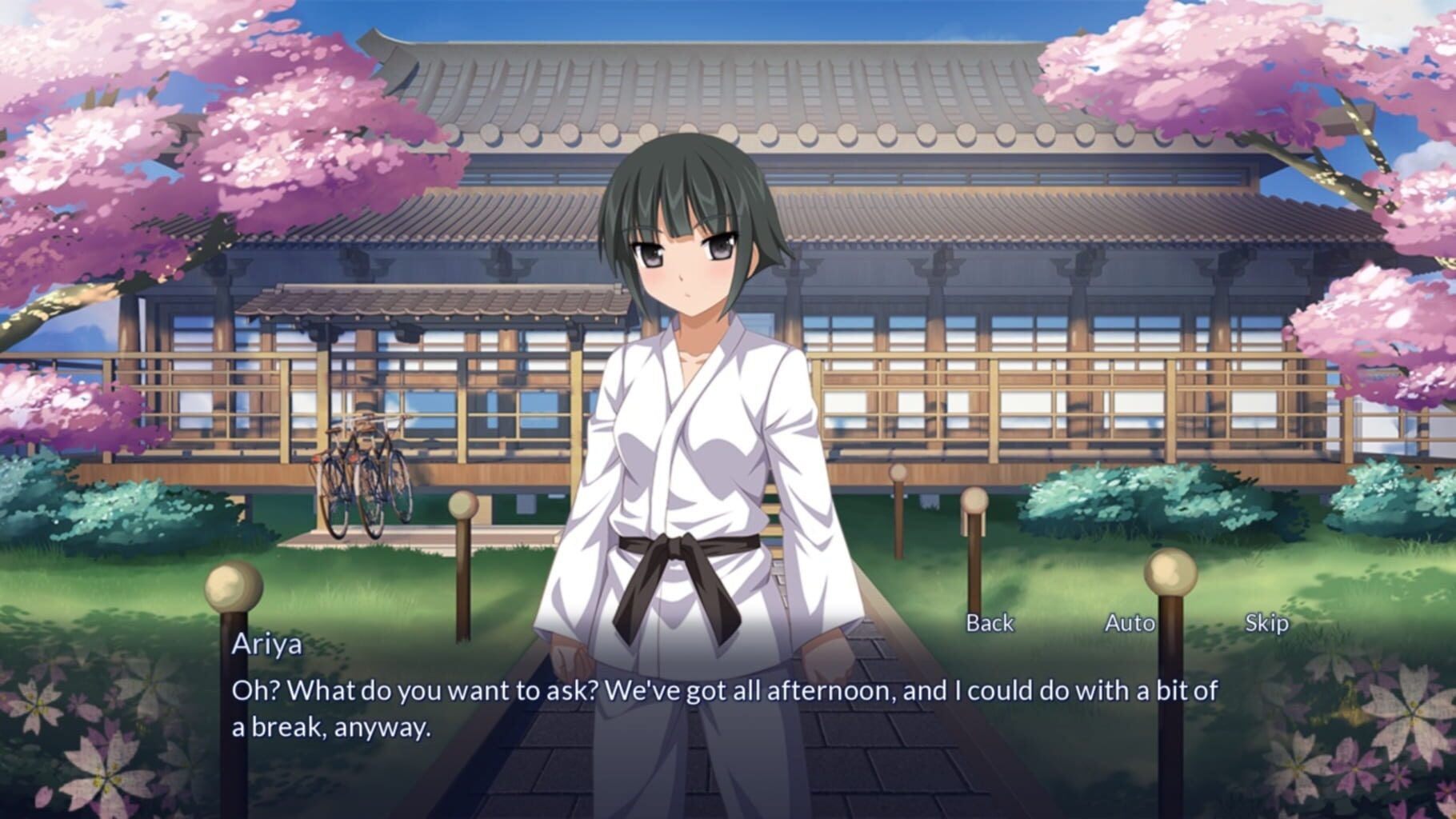 Sakura Spirit screenshot