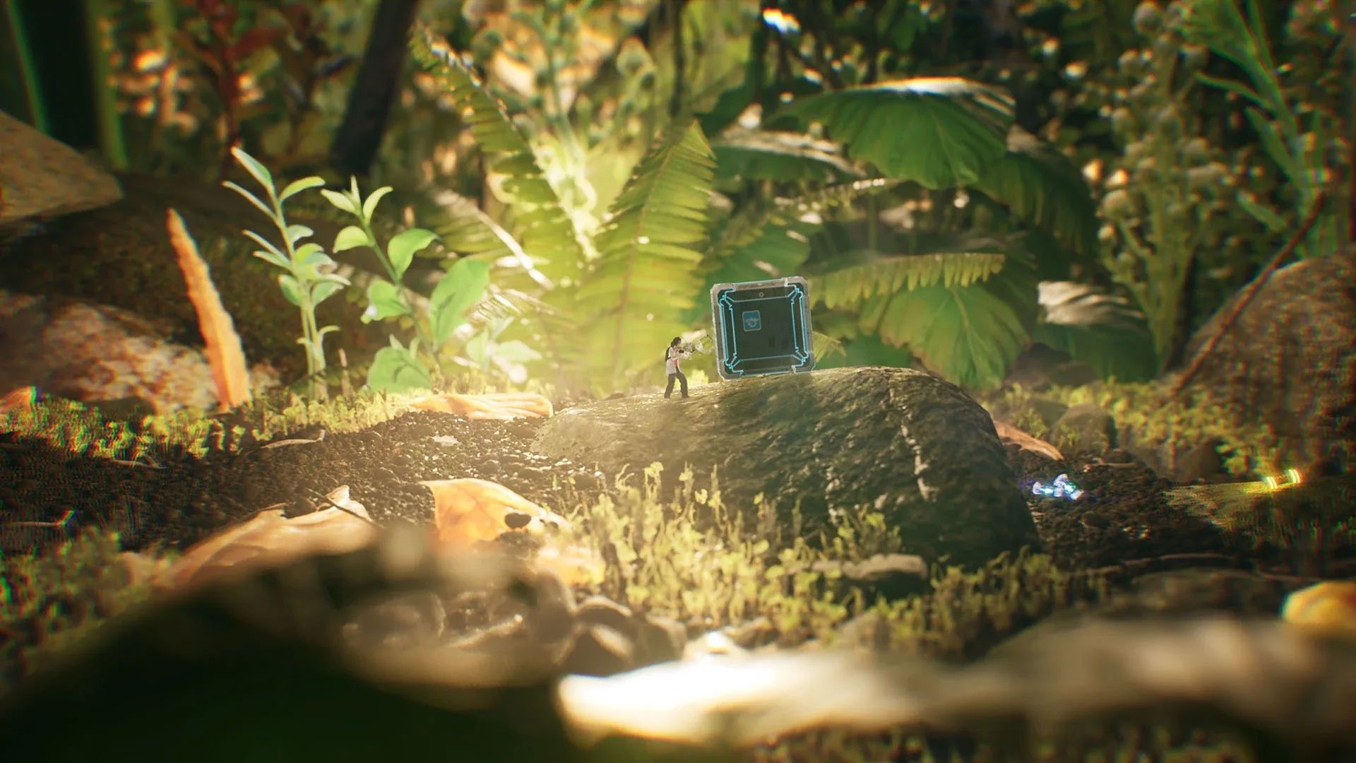 Thumbnail 13