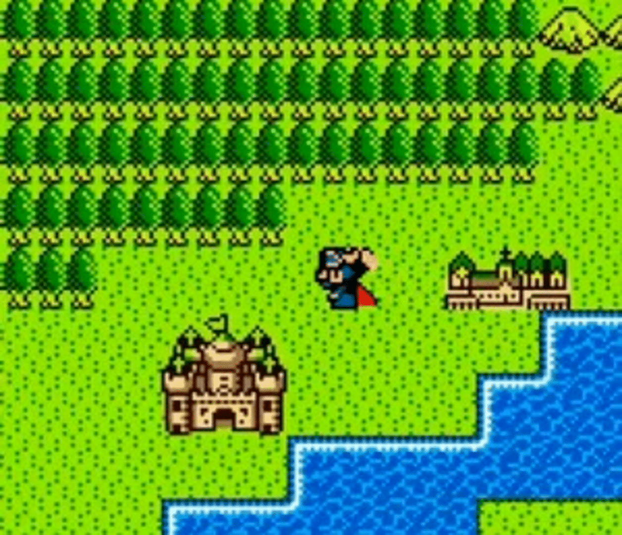 Dragon Warrior I & II screenshot