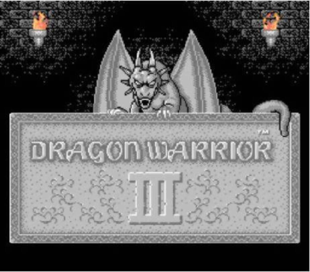 Captura de pantalla - Dragon Warrior III