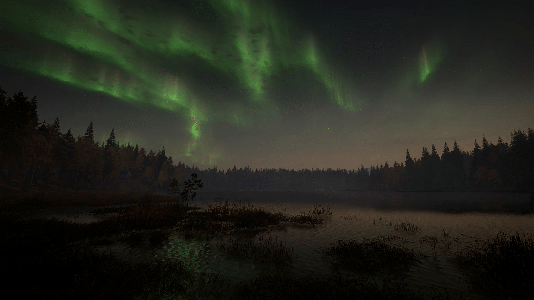 TheHunter: Call of the Wild - Revontuli Coast screenshot