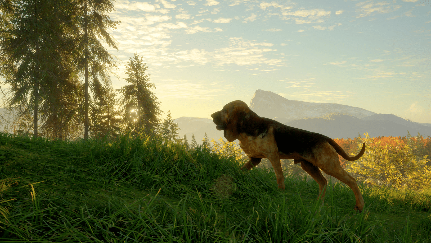 TheHunter: Call of the Wild - Bloodhound screenshot