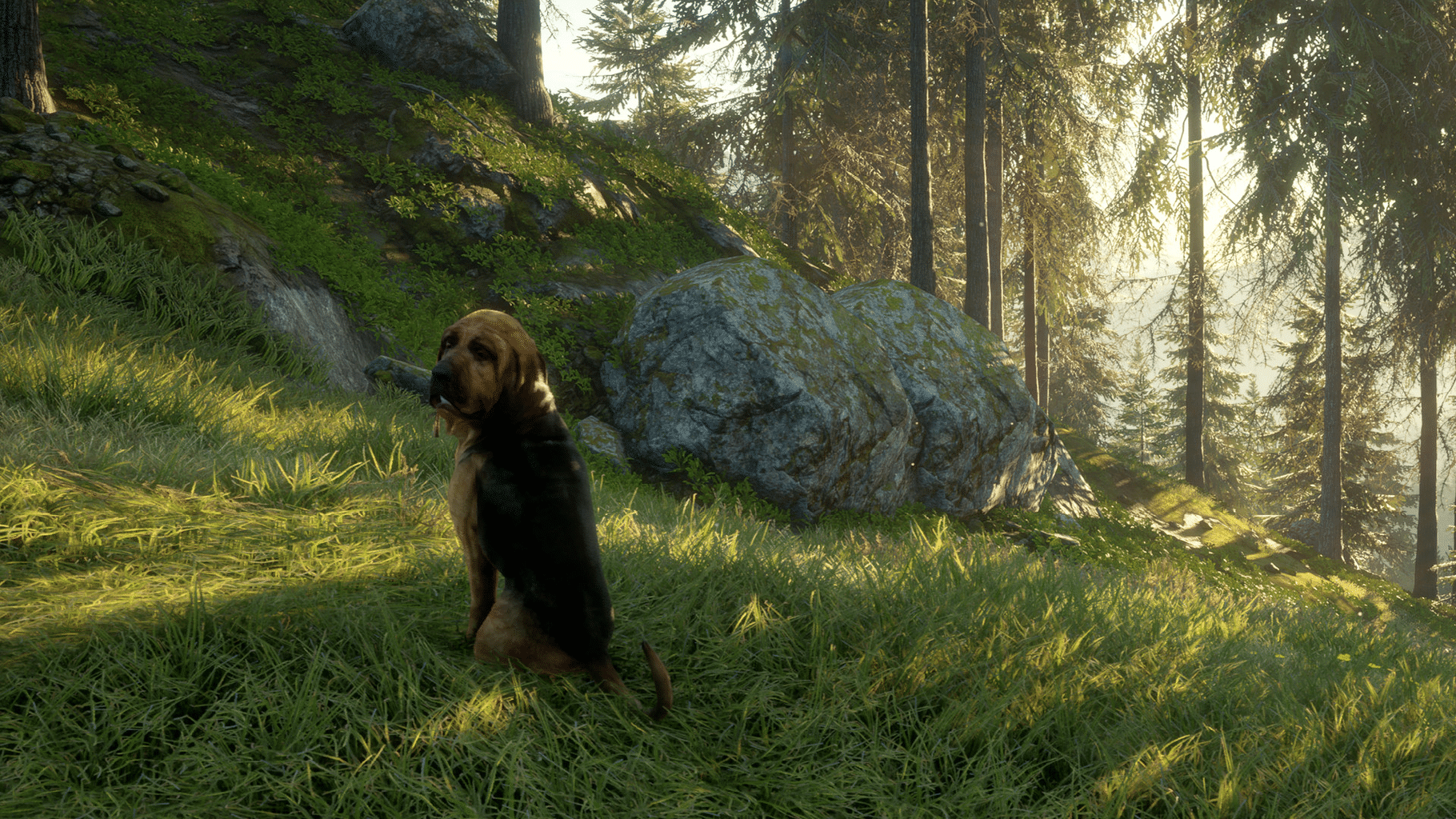 TheHunter: Call of the Wild - Bloodhound screenshot