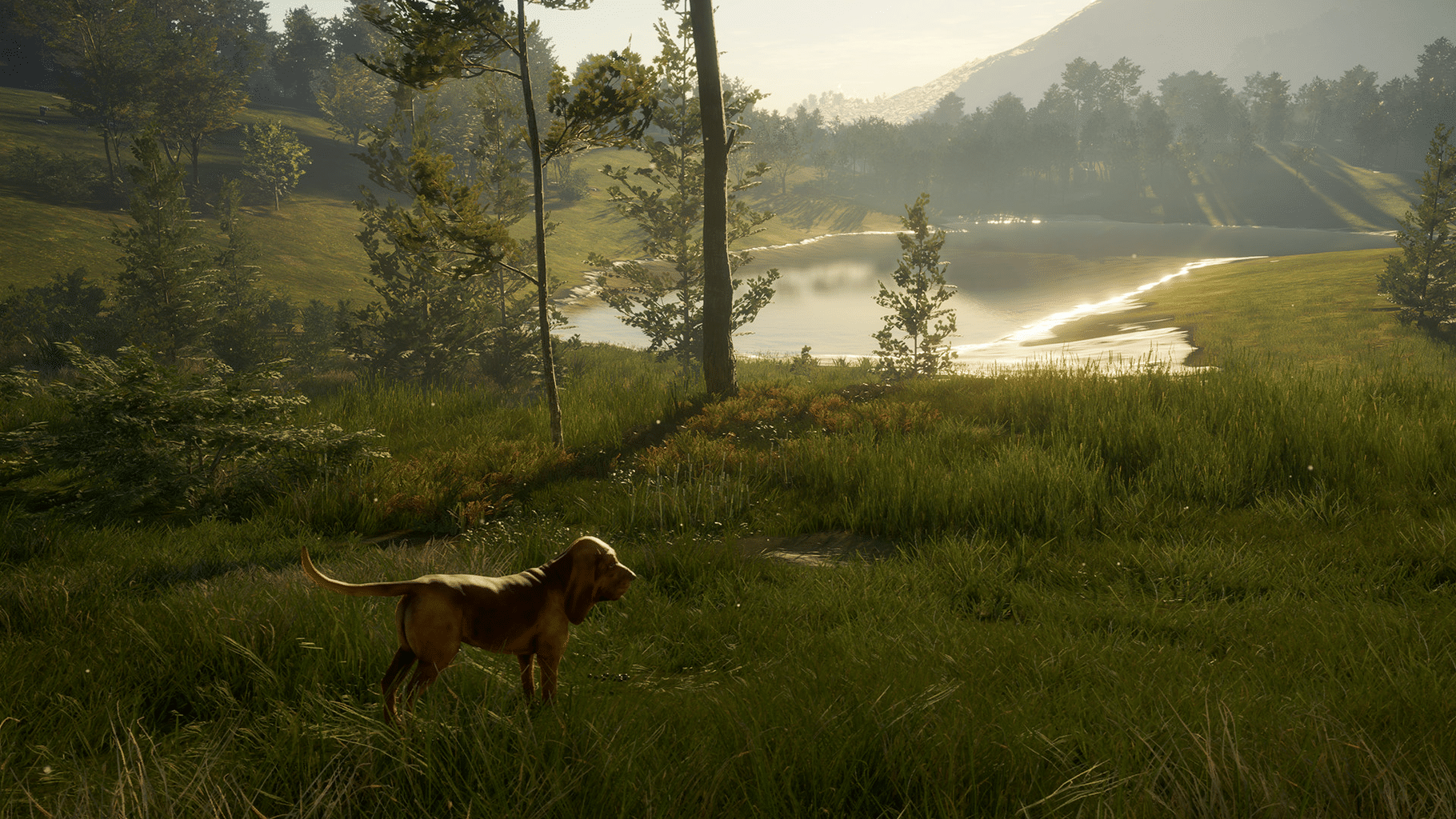 TheHunter: Call of the Wild - Bloodhound screenshot