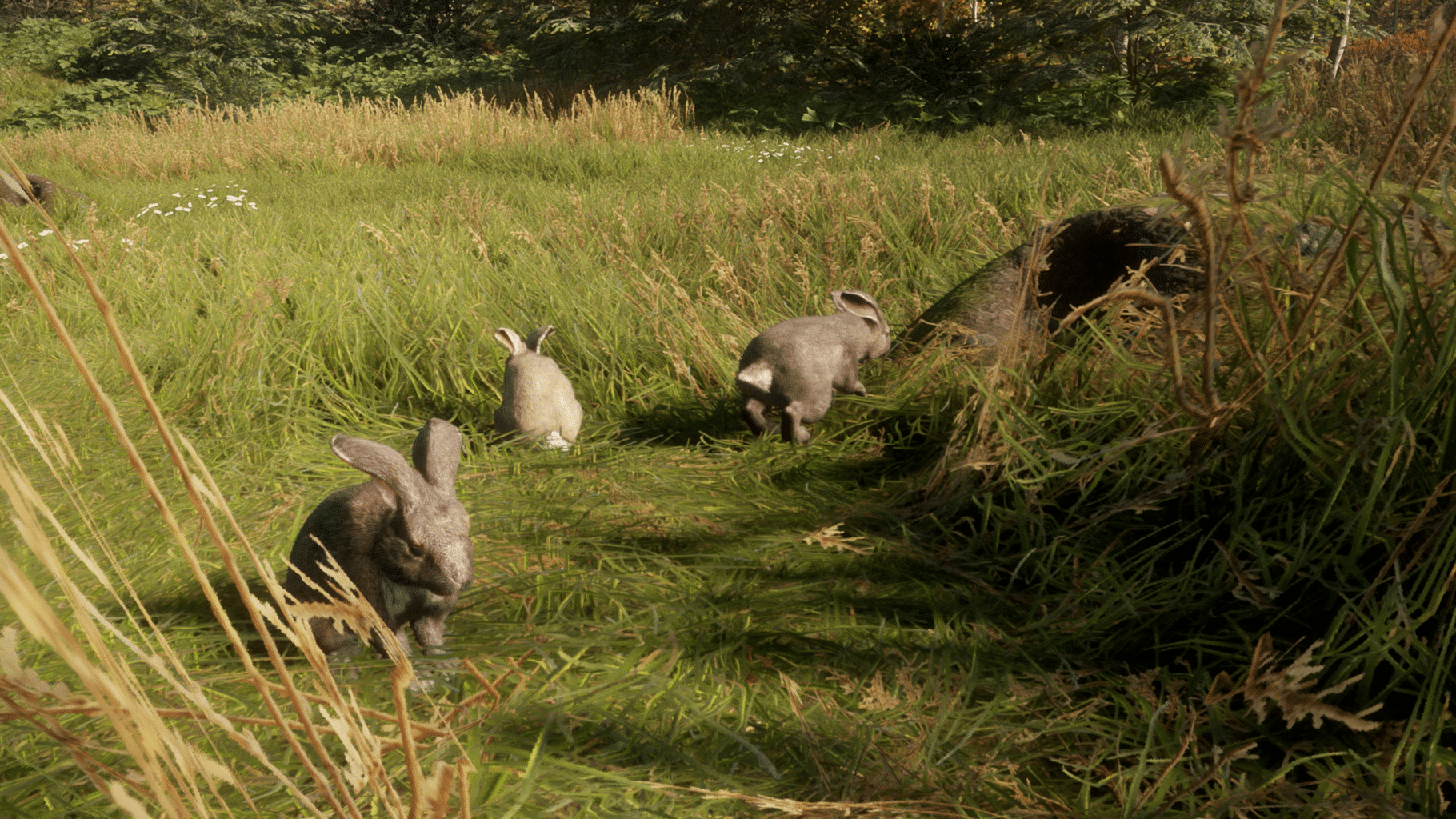 TheHunter: Call of the Wild - Free Species: European Rabbit screenshot